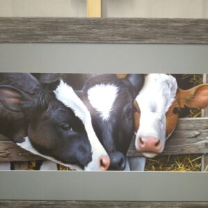 Framed and signed Dairy Calves Print by Jerry Gadamus - Image 5