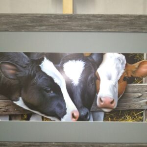 Framed and signed Dairy Calves Print by Jerry Gadamus - Image 4